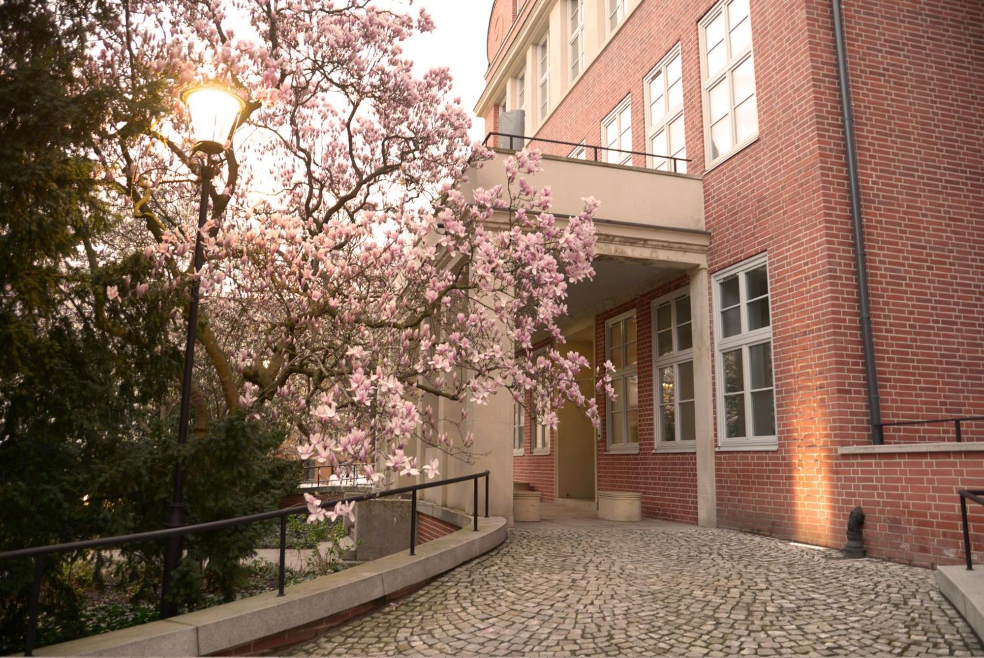 Rooms In Historic Heart Of Wroclaw Exterior photo